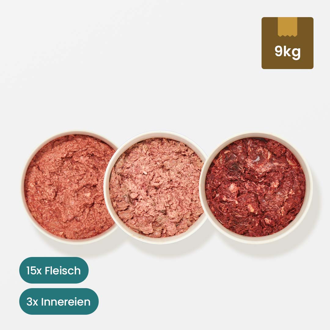 Vorschaubild 1